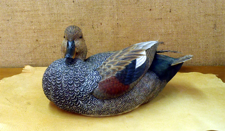 Drake Gadwall -  carving by Ben Heinemann