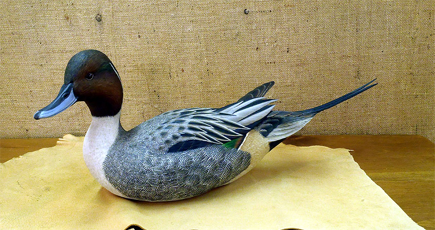 Drake Pintail -  carving by Ben Heinemannn