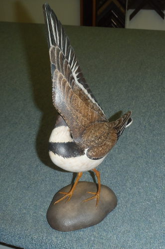 Semi-Palmated Plover -  Lifesize - carved  by Bill Gibian