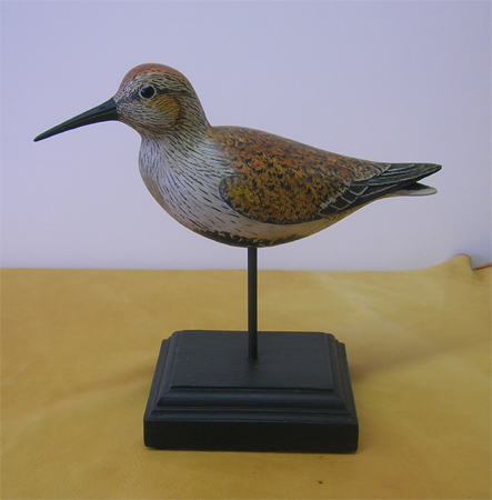Dunlin - Stick Bird by Bill Gibian
