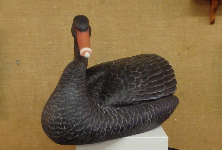 Australian Black Swan by Bob Moreland
