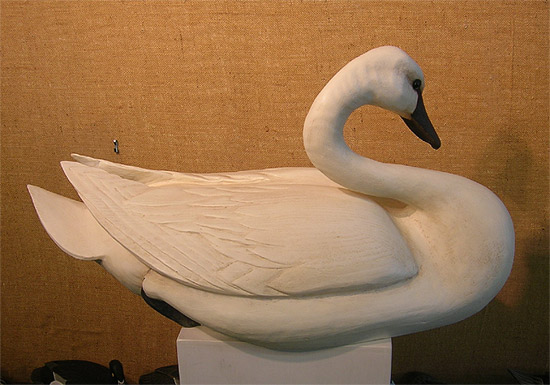 Life Sized Curl Neck Swan with carved feathers by Bob Moreland