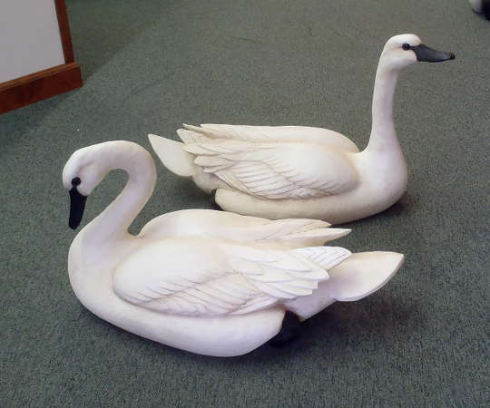 Pair of 3/4-size Swans  by Bob Moreland