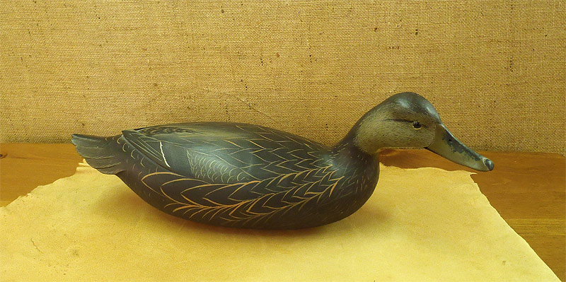 Hen Black Duck - from The Collection  -  carved by Bob White