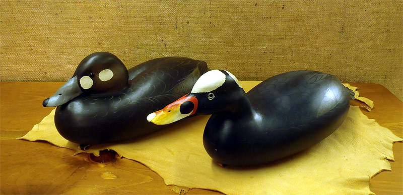 Pair of Surf Scoters - fromt The Collection  -  carved by Bob White