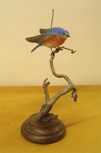 3/4 size Bluebird - by Bob Guge