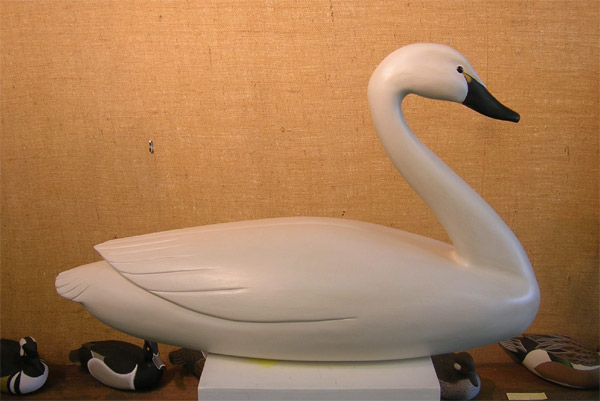 Life Sized Swan  by Clarence Fennimore