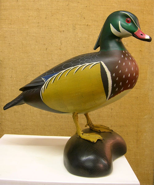 Life-sized Standing Wood Duck by Clarence Fennimore