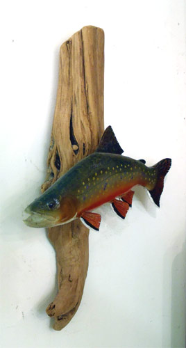 Brook Trout  -  by Fred Kinne