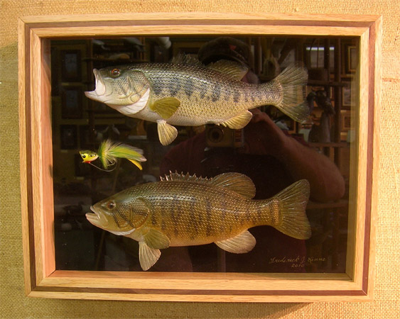 Small Mouth & Large Mouth Bass  -  by Fred Kinne