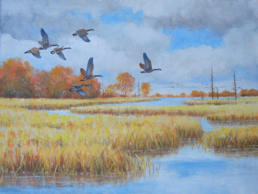 Marsh Canadas - by George Shumate