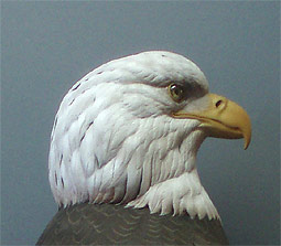 Life sized Eagle - carved by Greg Pedersen