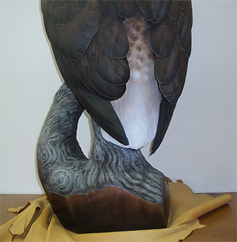Life sized Eagle - carved by Greg Pedersen