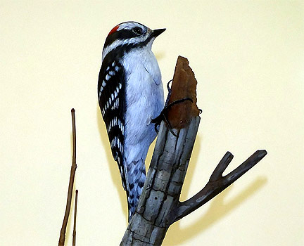 Life sized Downy Woodpecker - carved by Greg Pedersen