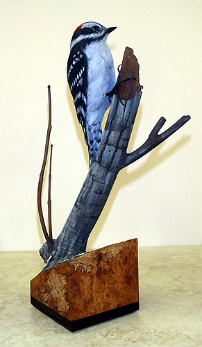 Life sized Downy Woodpecker - carved by Greg Pedersen- carved by Greg Pedersen