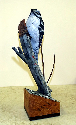 Life sized Downy Woodpecker - carved by Greg Pedersen- carved by Greg Pedersen