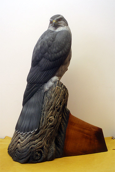 Life sized Goshawk - carved by Greg Pedersen