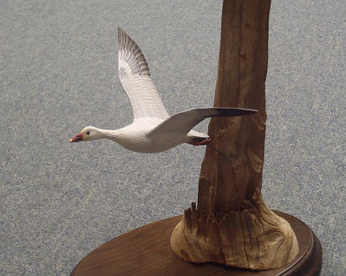 Flying Snow Goose Mini - carving by Gus Sjoholm