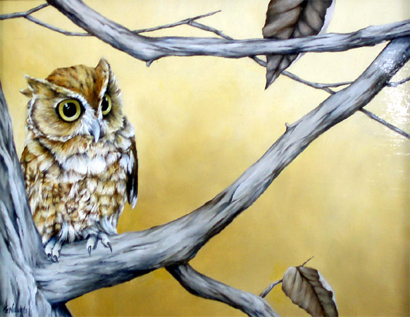 Autumn Owl - Screech Owl - by Gwendolyn
                    Nikkels