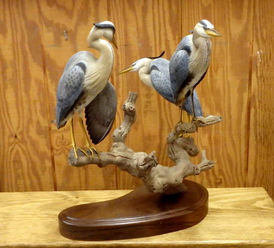 Great Blue Heron Trio - 1/4 size  - carved by Harvey Wilsonj