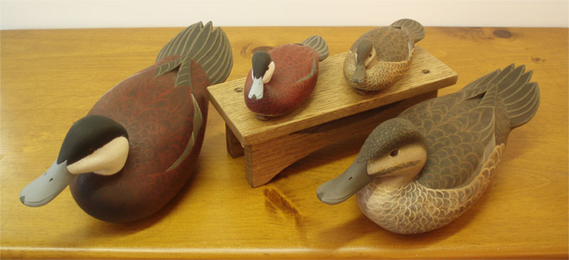 Ruddy Ducks - Life Size and
                        Minisl - by John "Jack" Wood