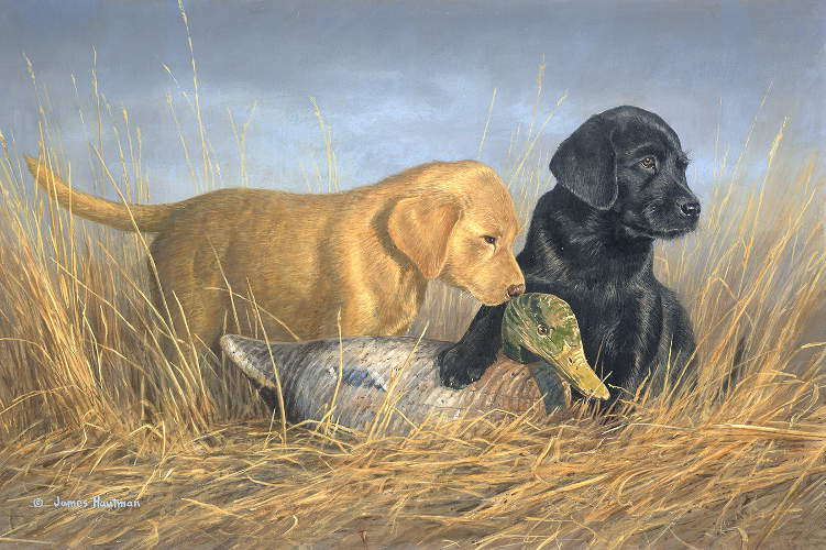 "Lab Pups and Decoy"  by Jim Hautman