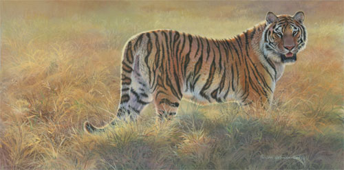 A Last Look Back - Siberian Tiger - by Joni Johnson Godsy
