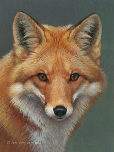 The Eyes of a Hunter - Red Fox - by Joni Johnson Godsy
