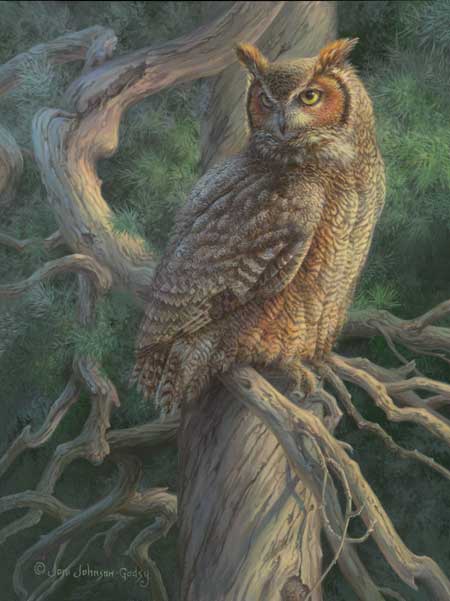 "Dawn's Early Light" Great Horned Owl - by Joni Johnson Godsy