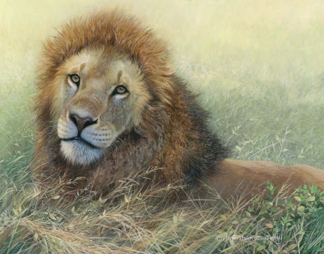 Lounging Lion  - by Joni Johnson Godsy