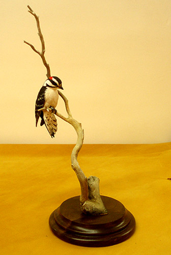 Downey Woodpecker Mini carved by Josh Guge