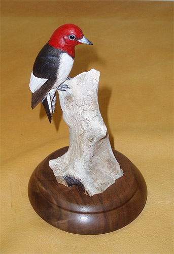 Red-Headed Woodpecker  Mini carved by Josh Guge