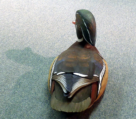 Wood Duck  Decoy carving -  by Ken Scheeler