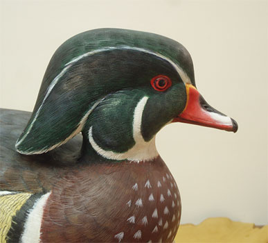 Wood Drake Duck by Ken Scheeler