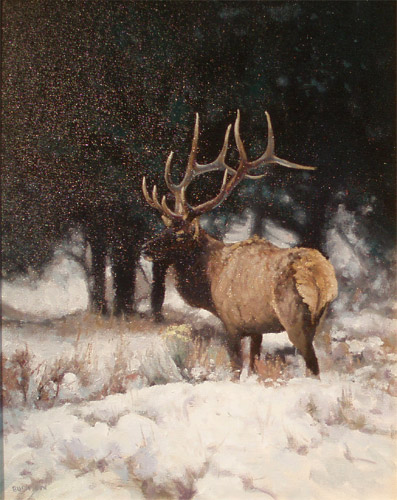 Fresh Snow Elk by Michael Budden