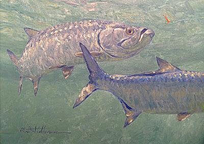 Tarpon by Michael  Stidham