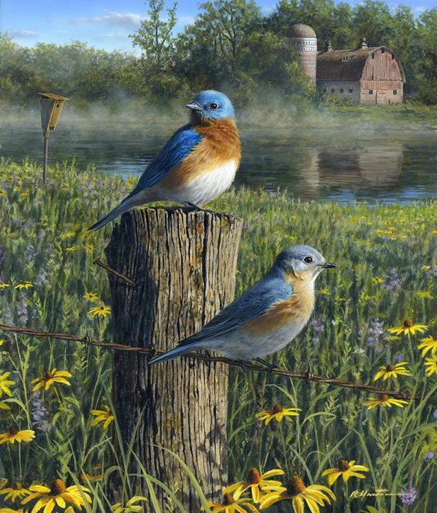 Bluebirds and Prairie  by Robert Hautman