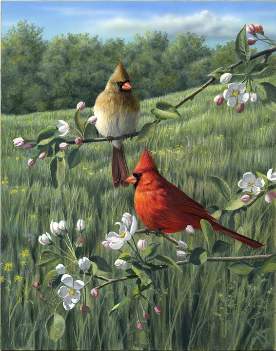 Cardinals and Prairie  by Robert Hautman