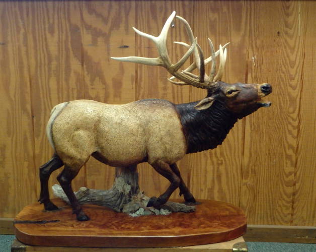Elk - carved by Sue Eaton
