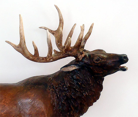 Elk  by Sue Eaton
