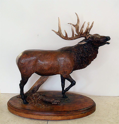 Elk  by Sue Eaton