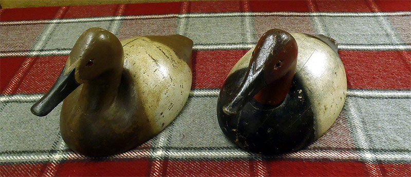 A Pair of  Canvasbacks - carved by Ferdinand Bach - from The Collection