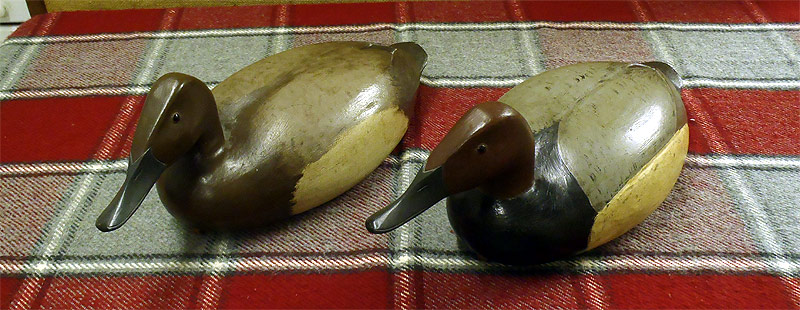 Pair of Canvasbacks - carved by Joe Morgan - from The Collection