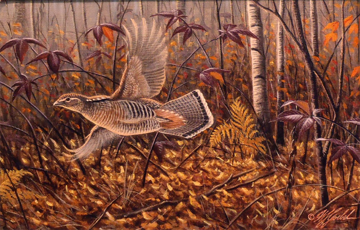 Windfall Glider Grouse - Painting by Wil Goebel