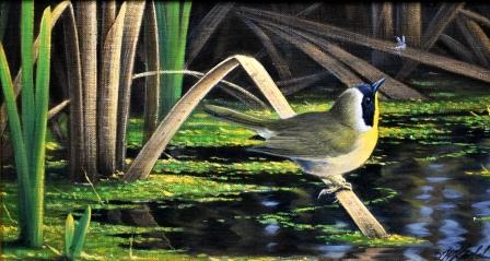 Yellowthroat - Painting by Wil Goebel
