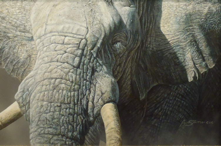 Above The Dust (Elephant)   by Adam Smith