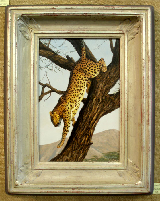 To Hunting Ground - leopard- by Adam Smith