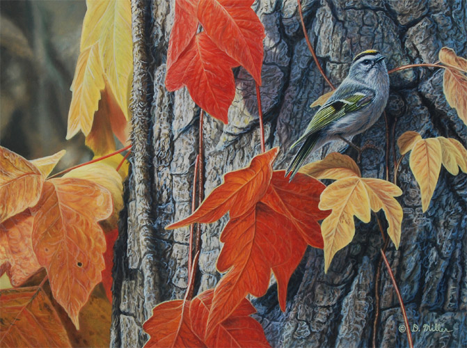 "Fall Ivy" - Golden-crowned Kinglet  by Darin Miller