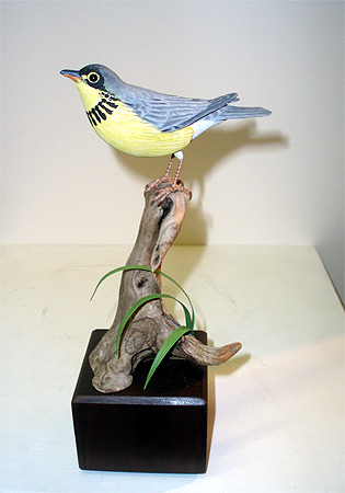 Decorative Canada Warbler - Lifesize -  carvings by Manfred Scheel