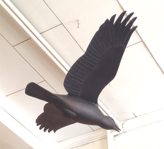 Flying Crow -  Carving by Manfred Scheel